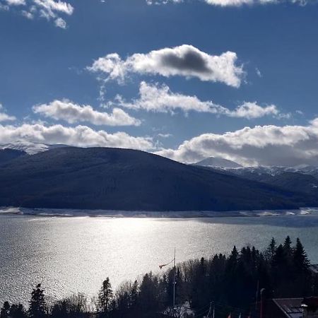 Tetka Viki Apartment Mavrovo Bagian luar foto