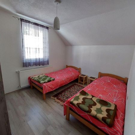 Tetka Viki Apartment Mavrovo Bagian luar foto