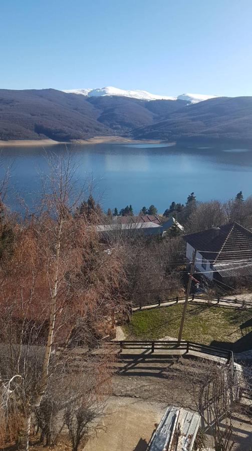 Tetka Viki Apartment Mavrovo Bagian luar foto