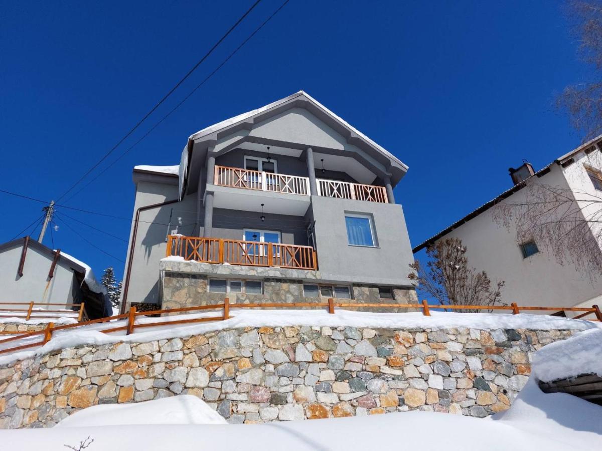 Tetka Viki Apartment Mavrovo Bagian luar foto