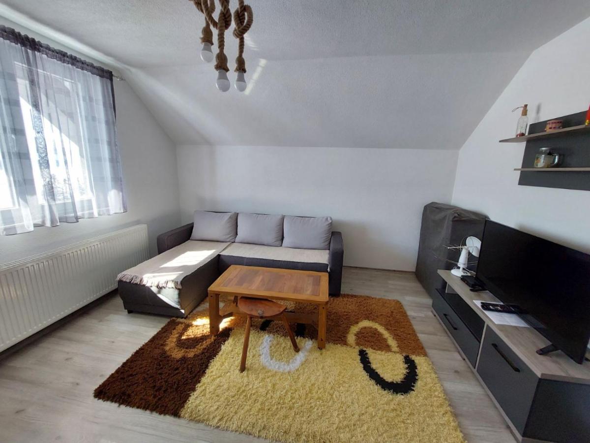 Tetka Viki Apartment Mavrovo Bagian luar foto